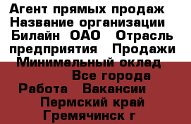 Агент прямых продаж › Название организации ­ Билайн, ОАО › Отрасль предприятия ­ Продажи › Минимальный оклад ­ 15 000 - Все города Работа » Вакансии   . Пермский край,Гремячинск г.